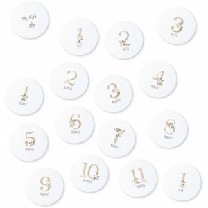 Echo Baby Milestone Cards - Floral