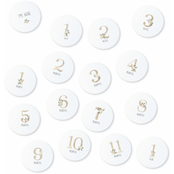 Echo Baby Milestone Cards - Floral