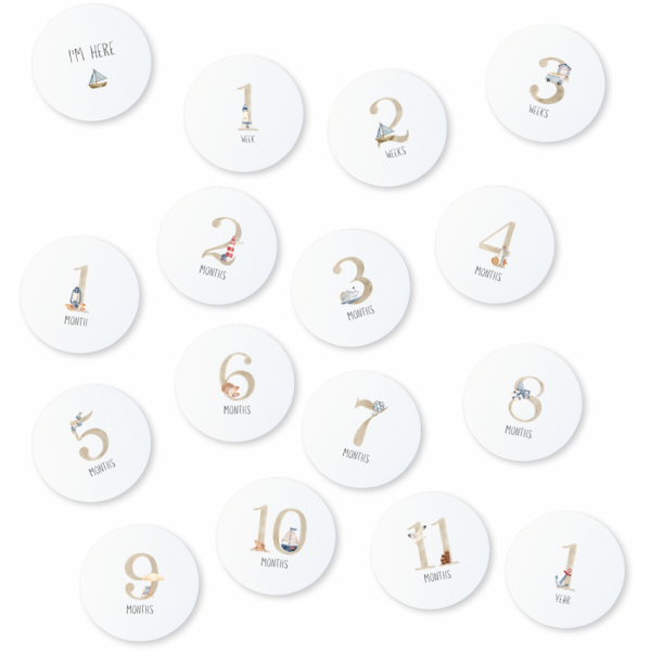 Echo Baby Milestone Cards - Nautical