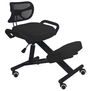 Furniture/Chairs/Office