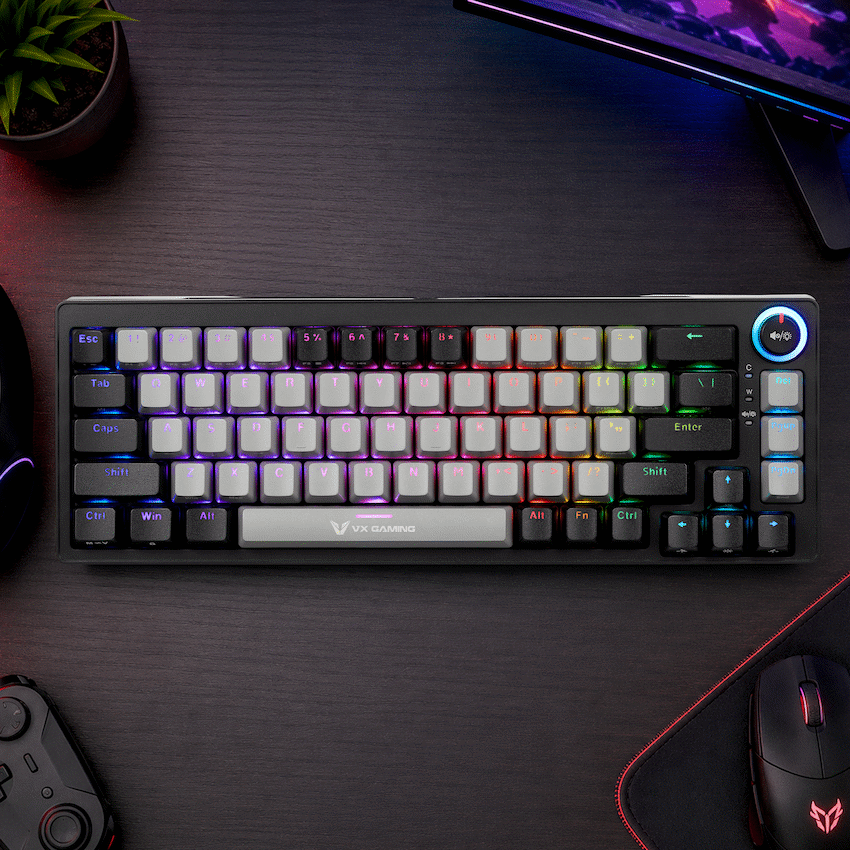 VX Gaming Sun-Wukong RGB Hot Swappable Mechanical Keyboard - Image 6
