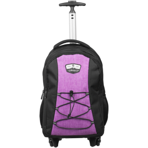 Bags/Backpacks/Trolly Backpacks