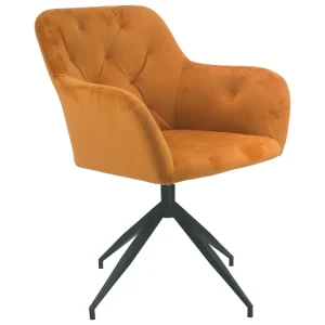 Furniture/Chairs/Lounge Chairs