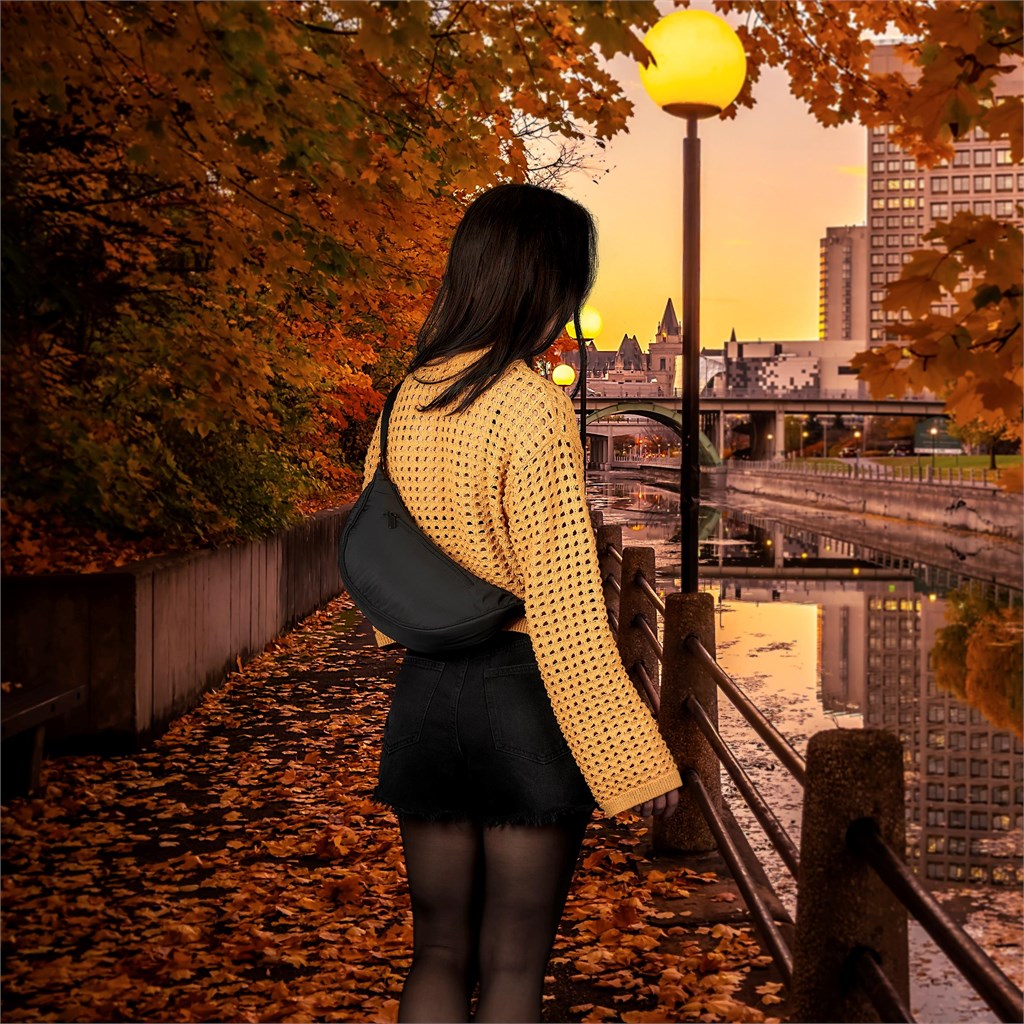 Serendipio Festival Crossbody Bag - BLACK - Image 3