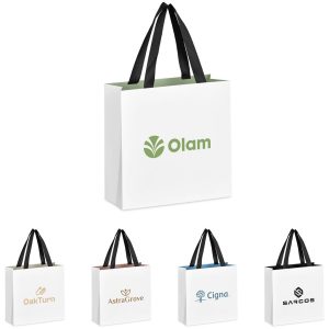 Altitude Galleria Mini Paper Gift Bag - SAGE