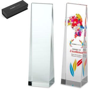 Altitude Hubris Award - TRANSPARENT
